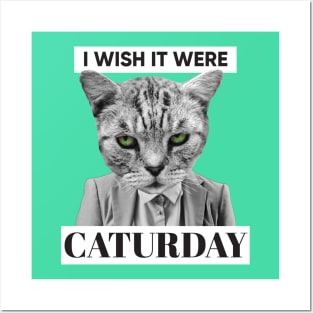 I Wish It Were Caturday Posters and Art